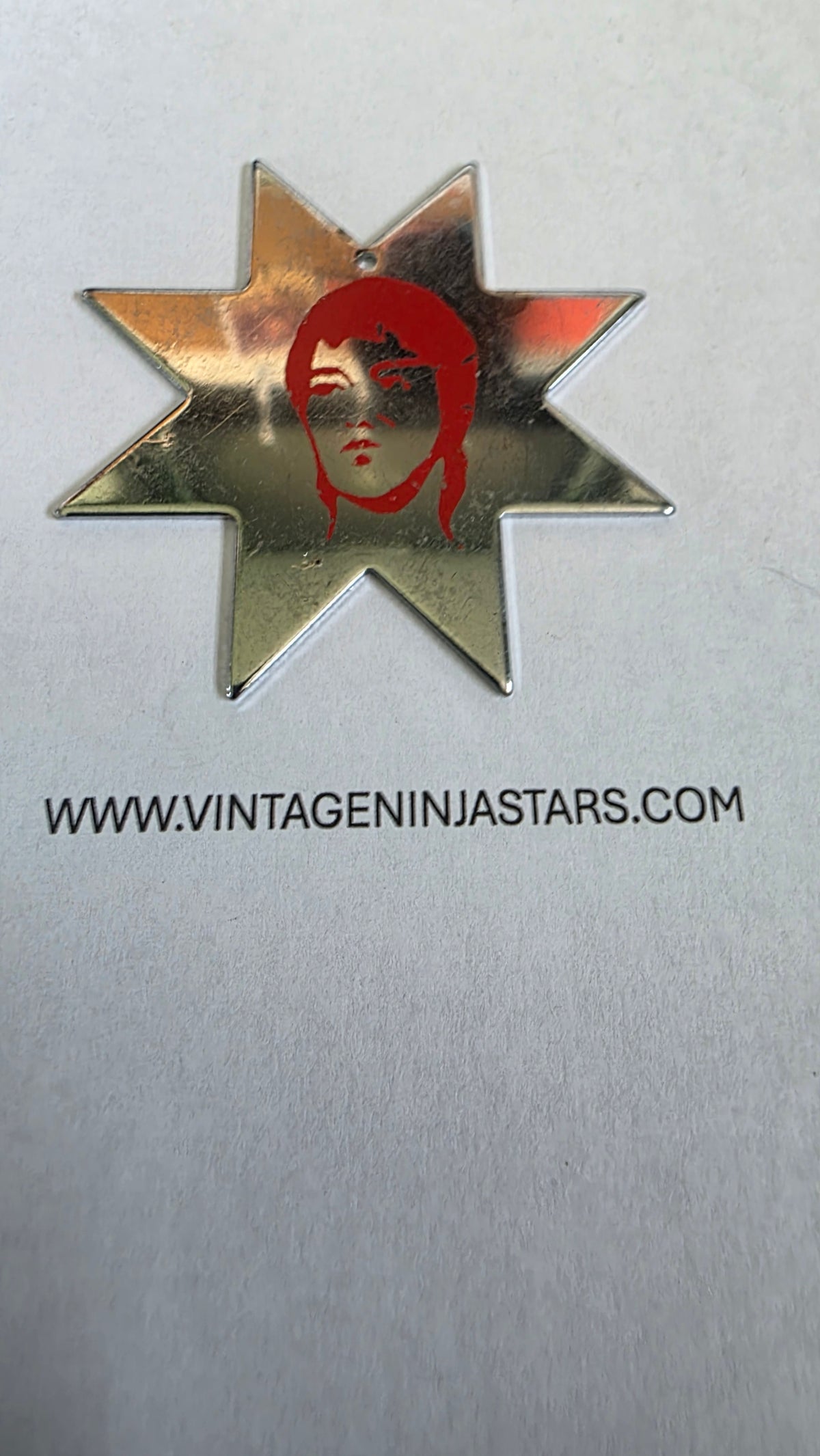 8 POINT SILVER W/ RED BRUCE LEE DESIGN Ref 8009